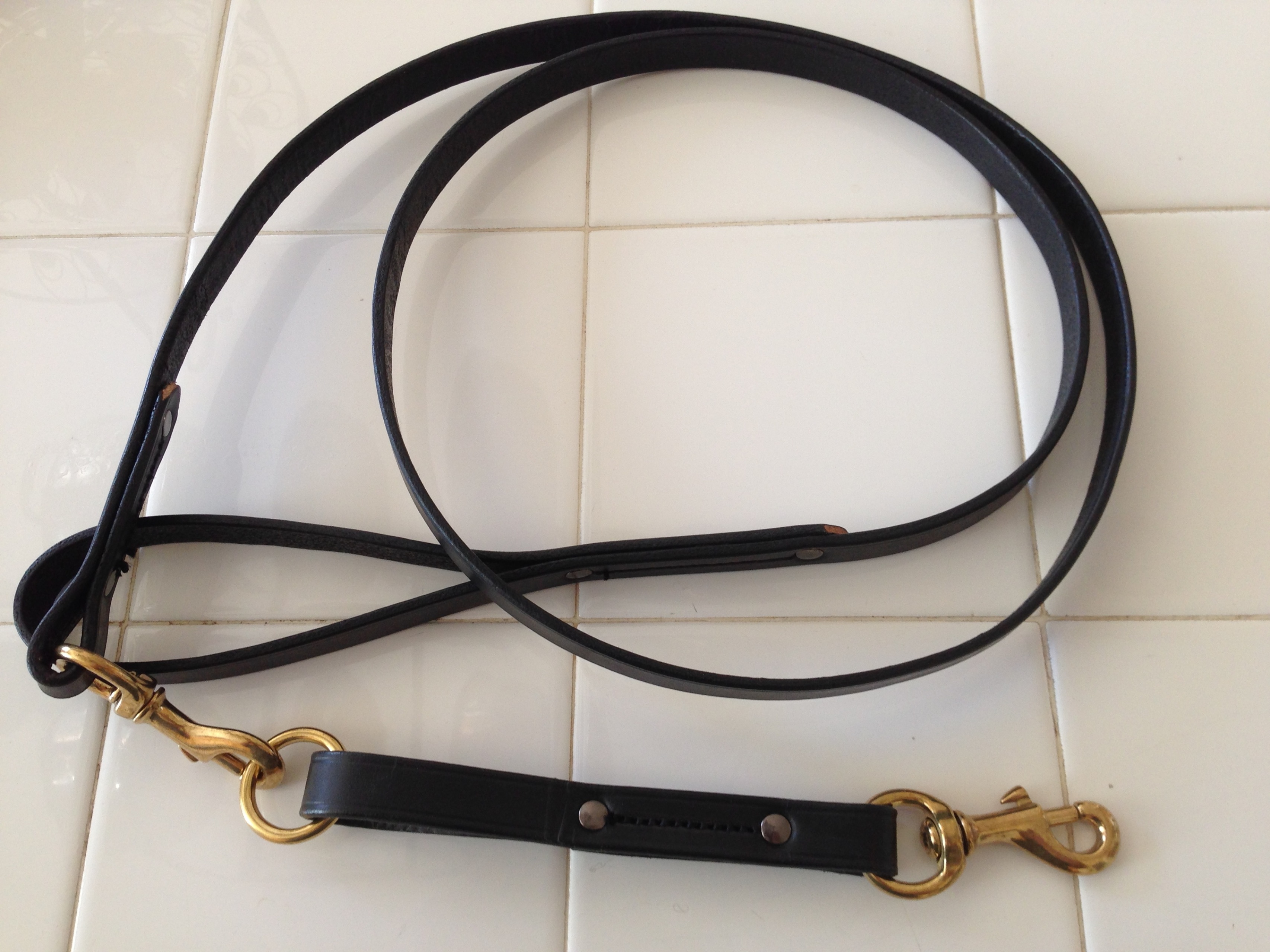 6 foot leather leashes with the pull tab